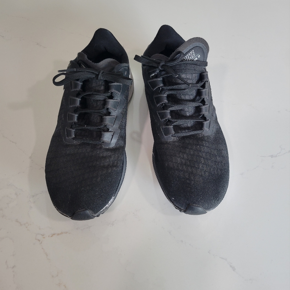Nike Pegasus